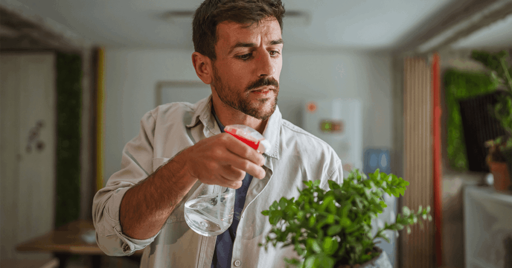 szobanövények gondozása télen