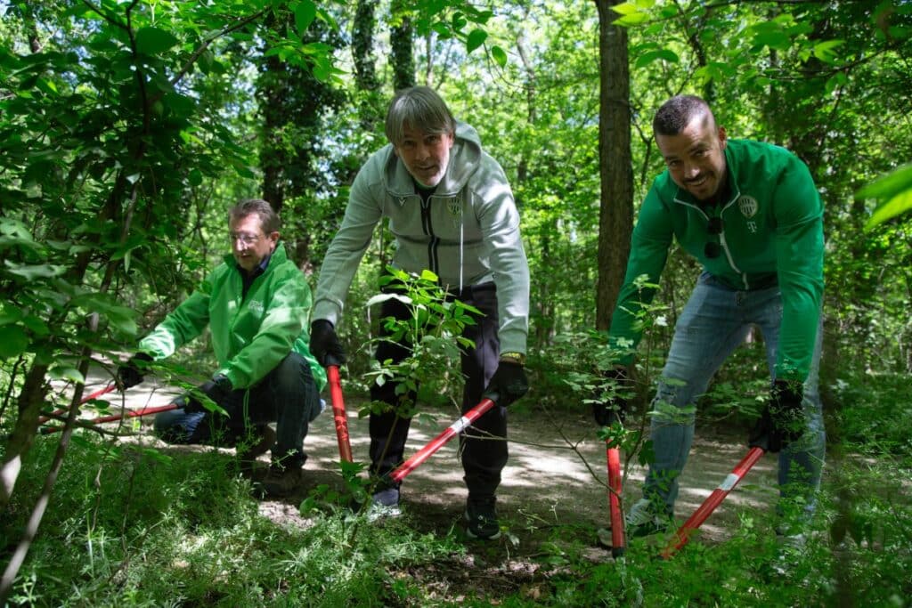 provident és ferencvárosi tc közös partnerség